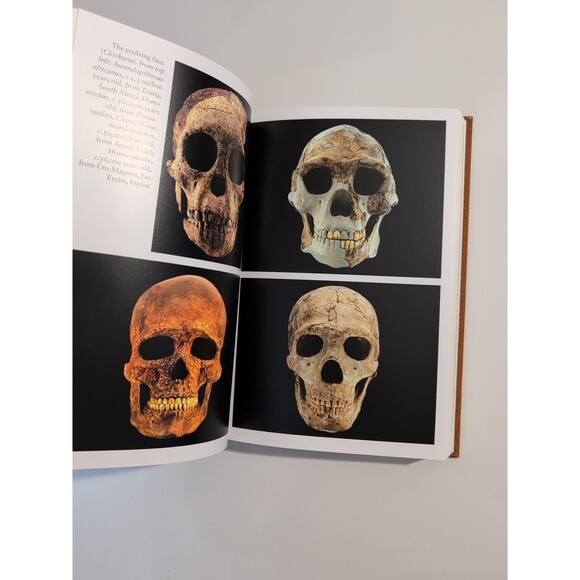 Prehistory: Making of the Human Mind – Colin Renfrew – Folio Society HC - Picture 9 of 10